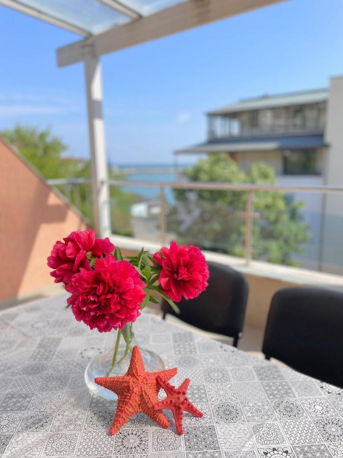 Family Hotel Morska Zvezda بالشيك المظهر الخارجي الصورة